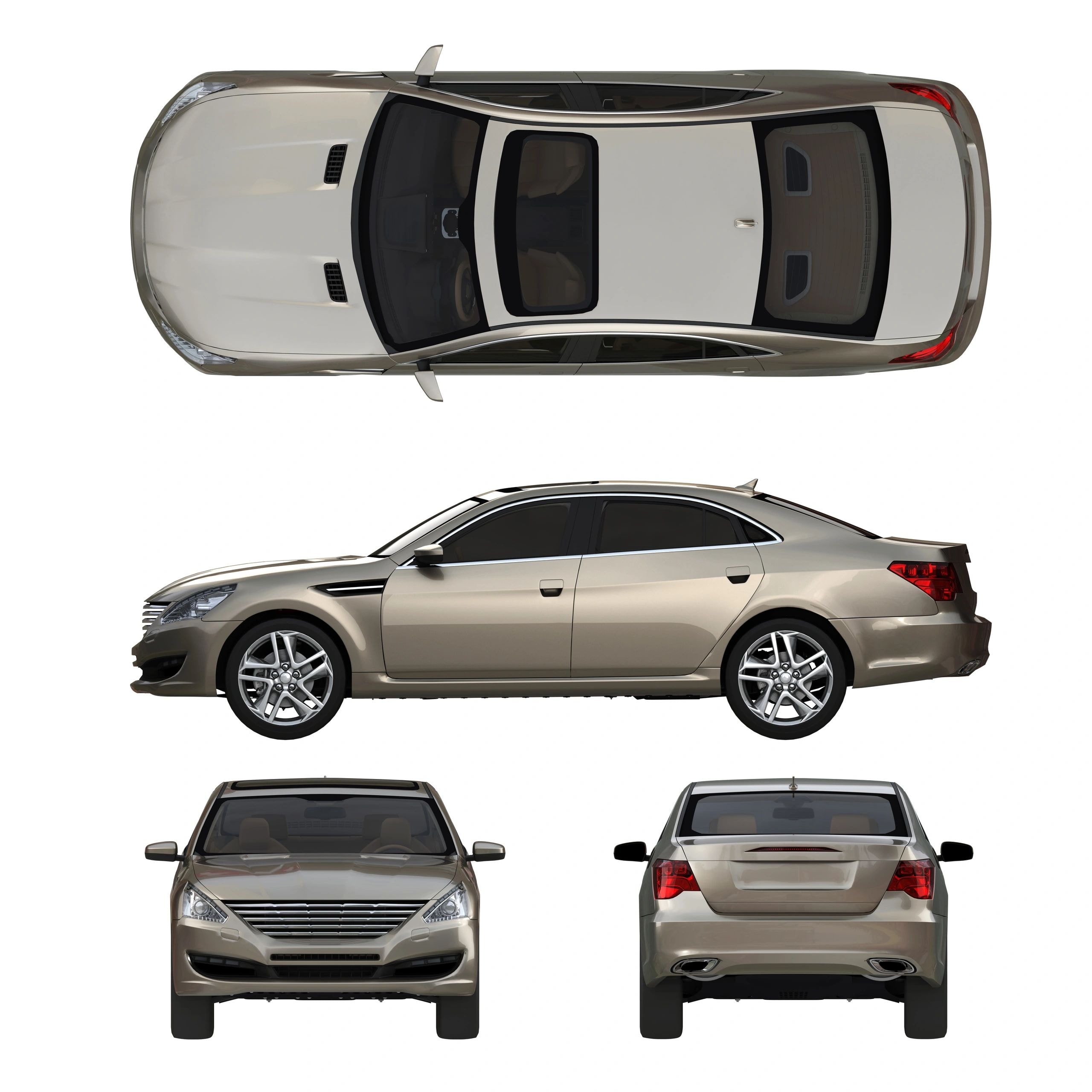 Professional auto damage assessment